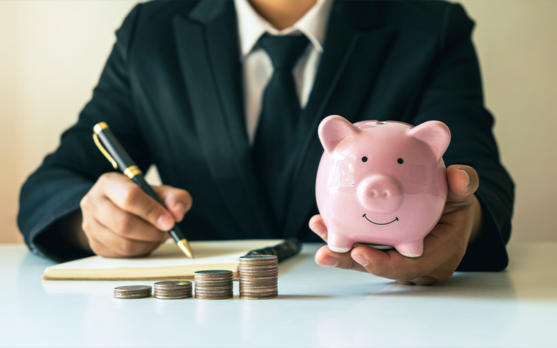 고양이 건강 관리 팁